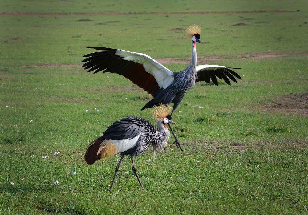 Photograph by Inna Ivanova