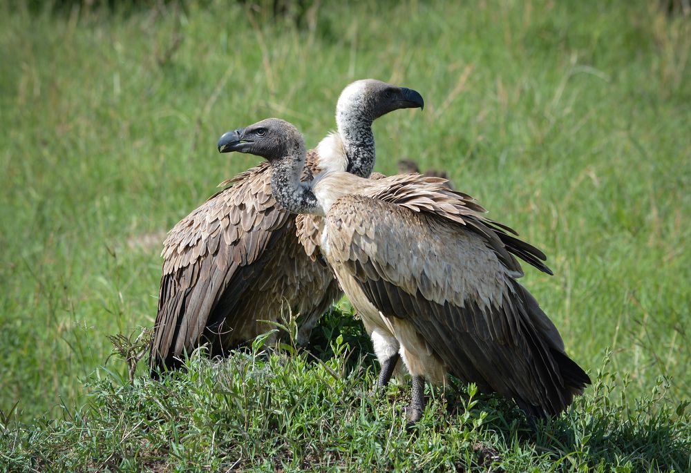 Photograph by Inna Ivanova