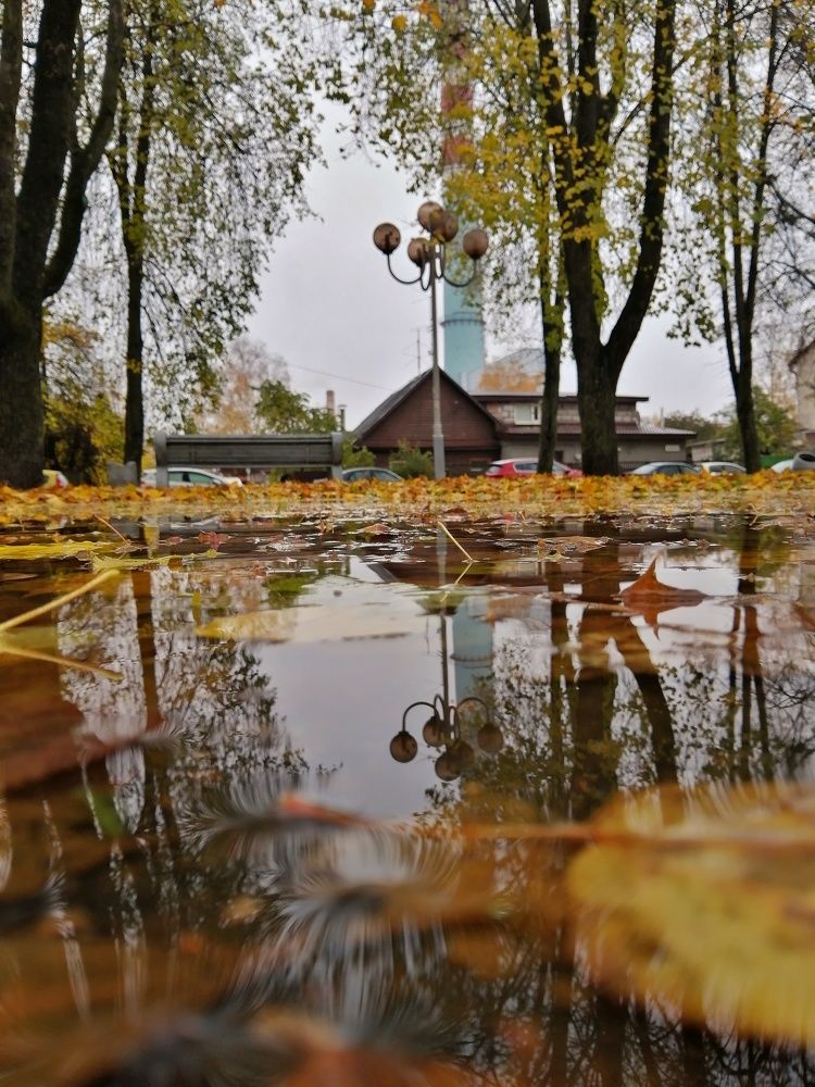 Photograph by Ольга Каменская