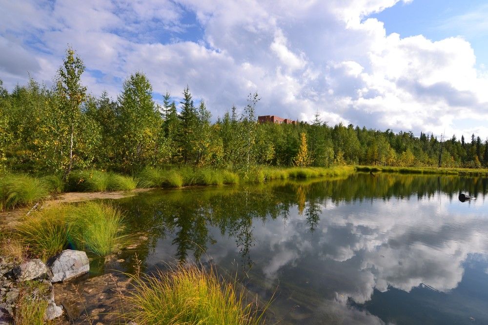 Photograph by Olga Mishenina