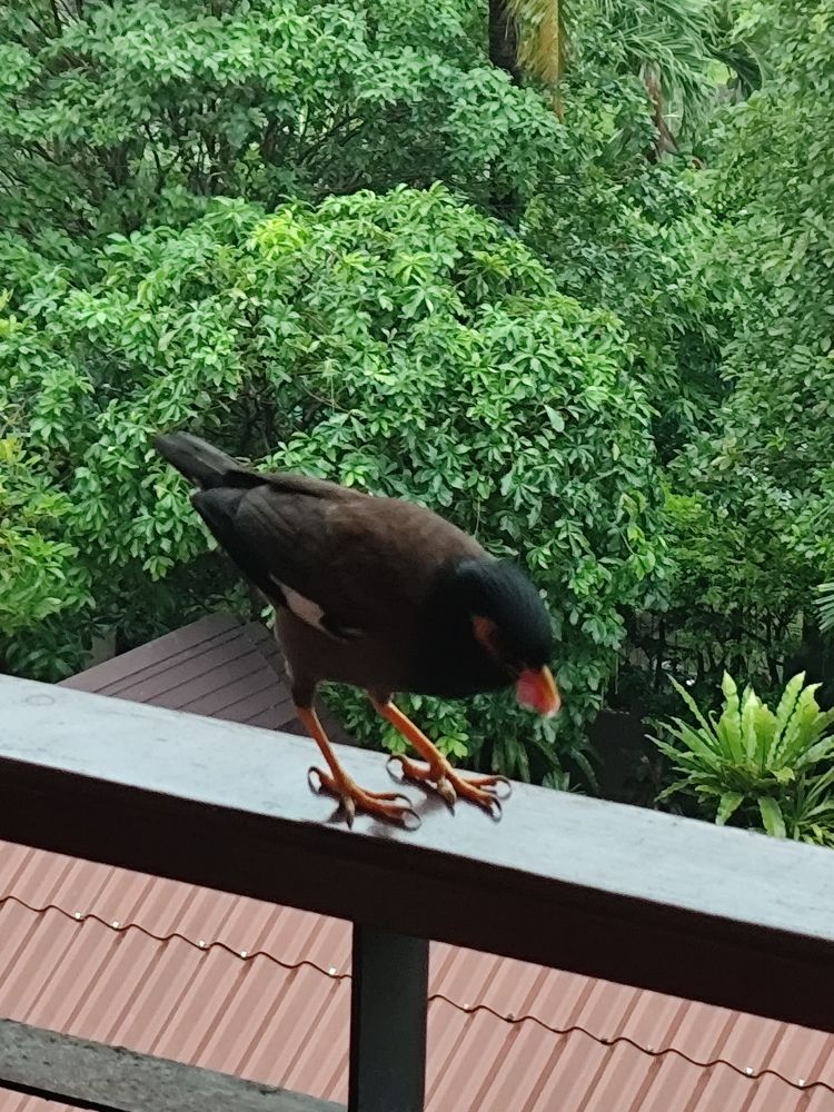 Photograph by Наталья