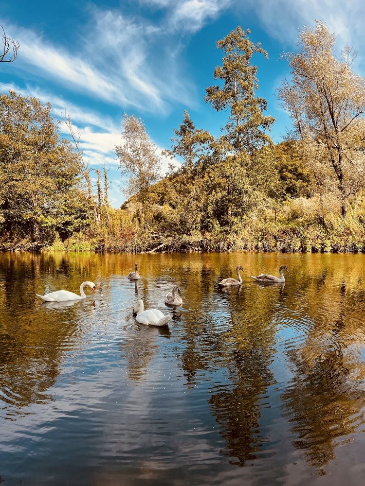 Photograph by Eugenia Schmidt