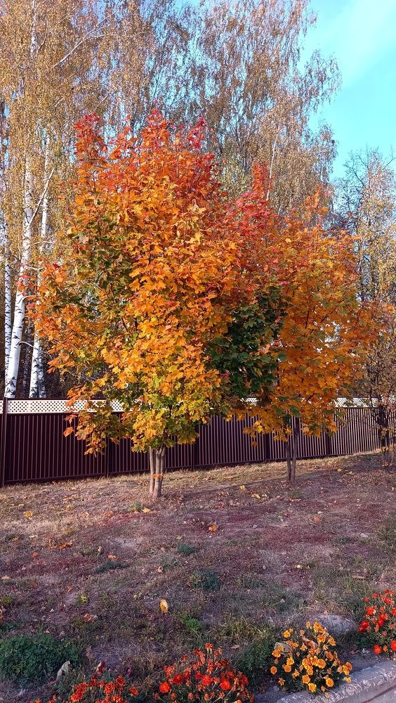 Photograph by Наташа Баукова