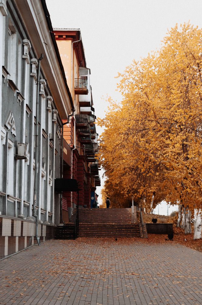 Photograph by Звягин Сергей