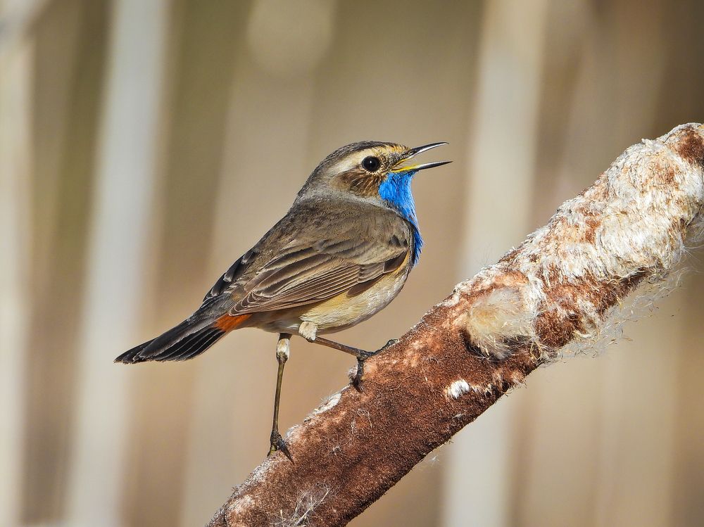 Photograph by Игорь Степанов
