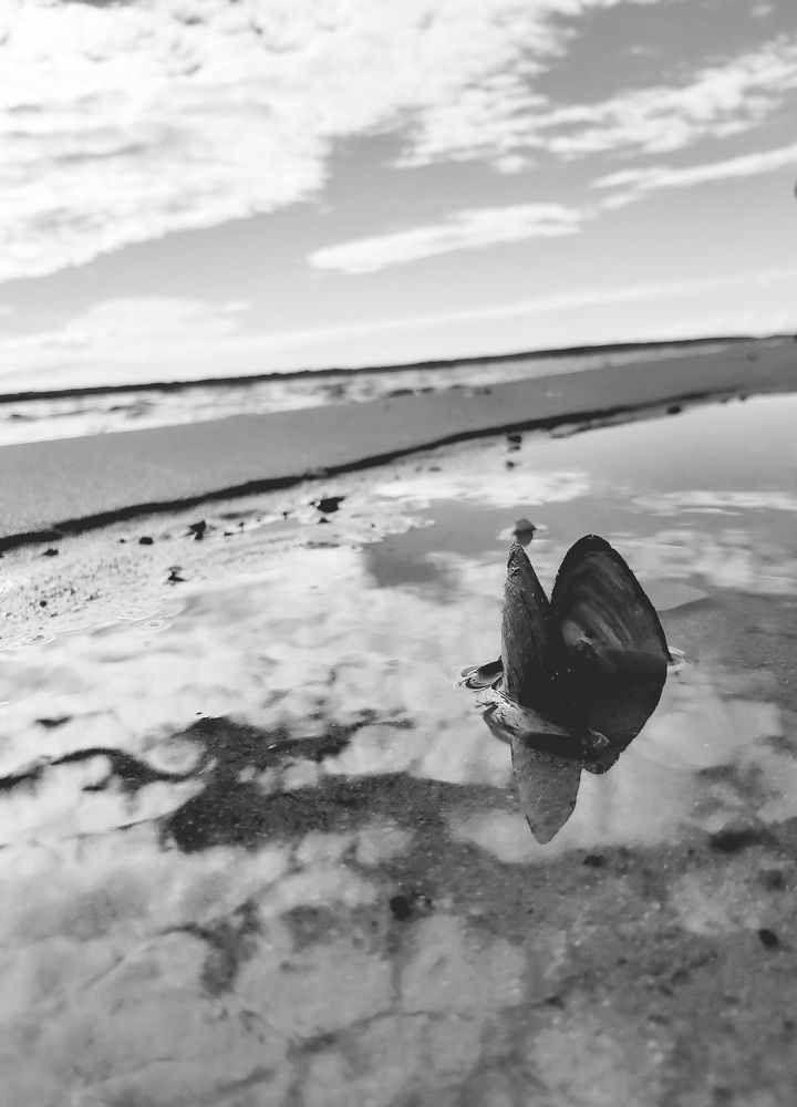 Photograph by Олег Лебедев