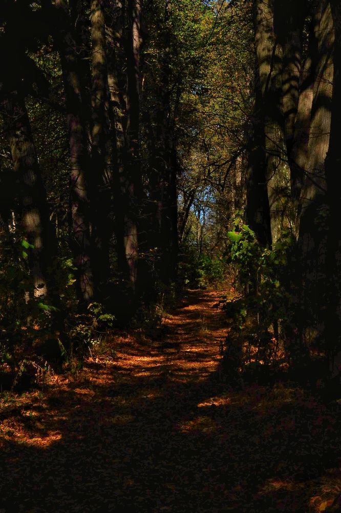 Фотография автора Екатерина Карасева