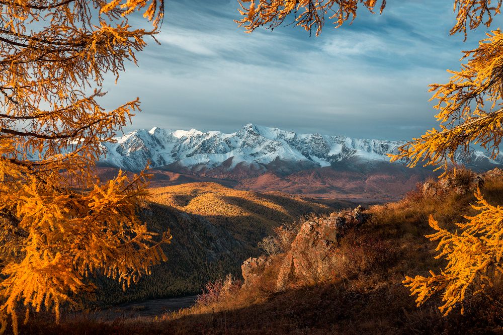 Photograph by Андреев Сергей