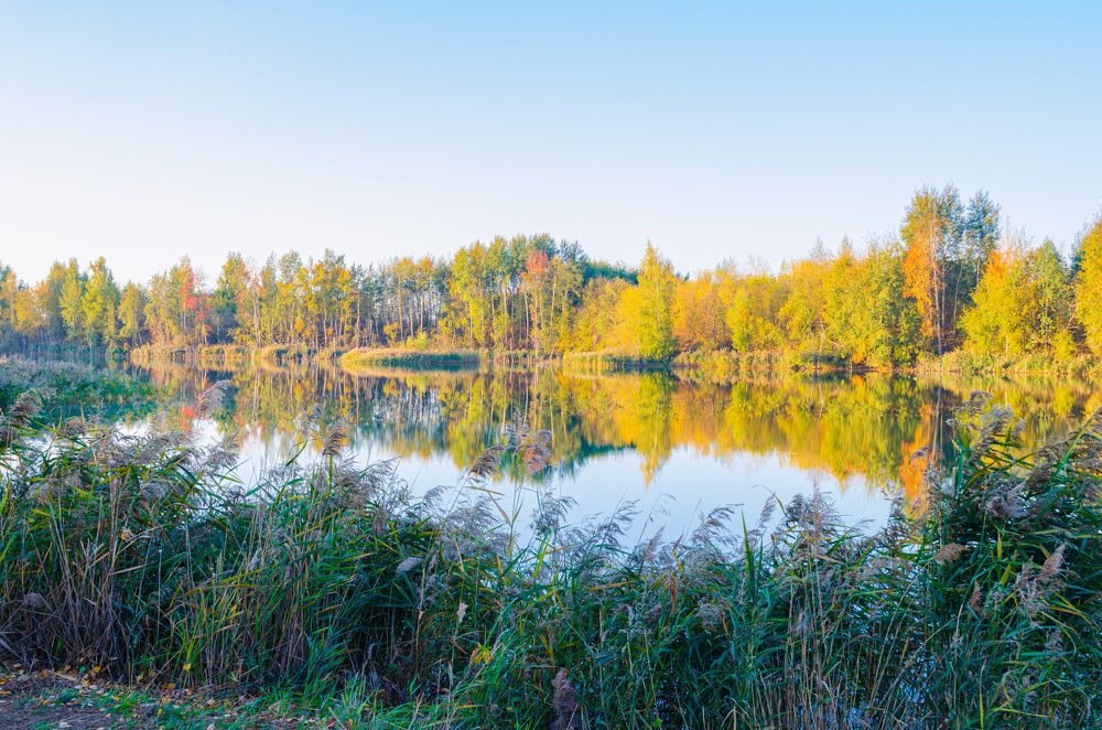Photograph by Дмитрий Граждан