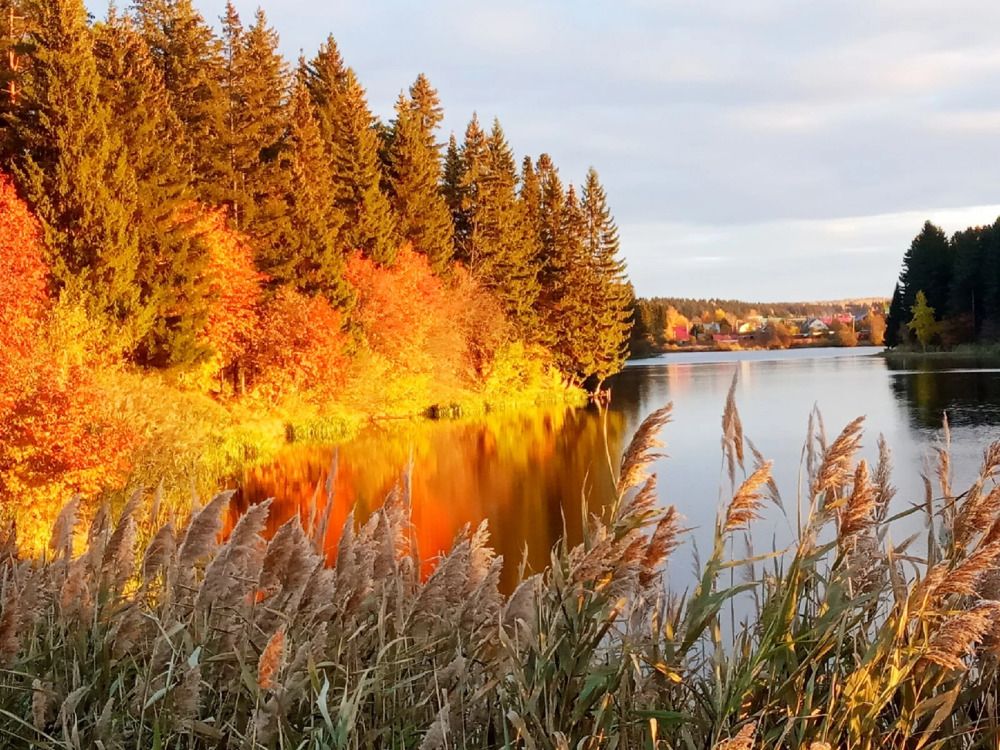 Photograph by Елена Дарьенко