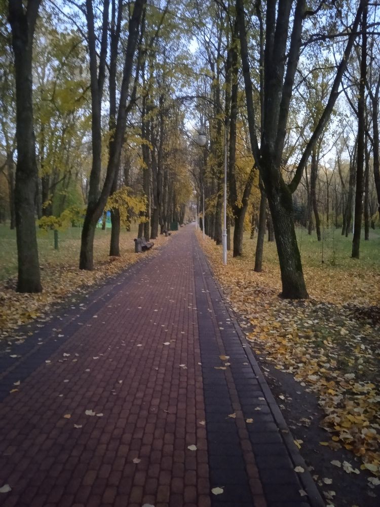 Photograph by Фёдор Викторович