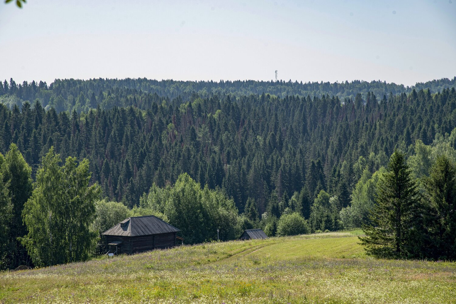 Photo #11109545