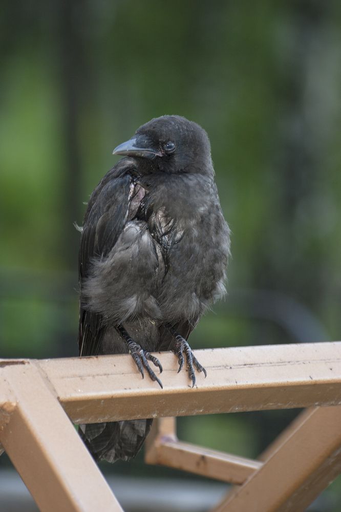 Photograph by Панюшкин Андрей