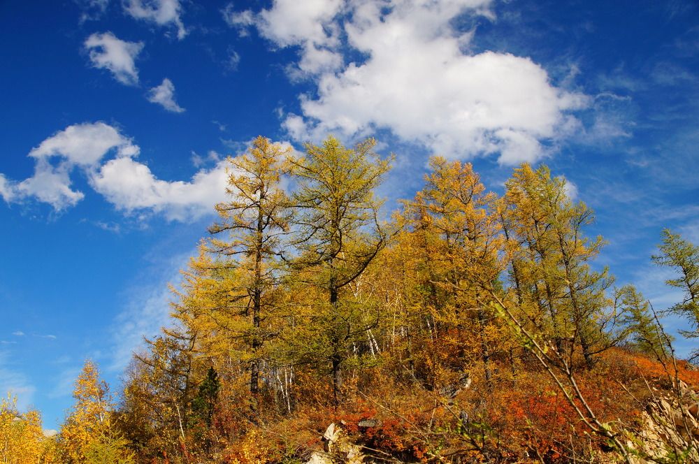 Уж....Небо осенью дышало