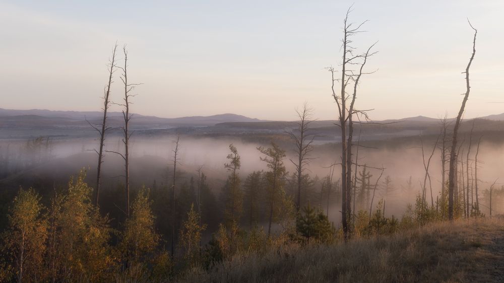 Photograph by Таипов Ильгиз