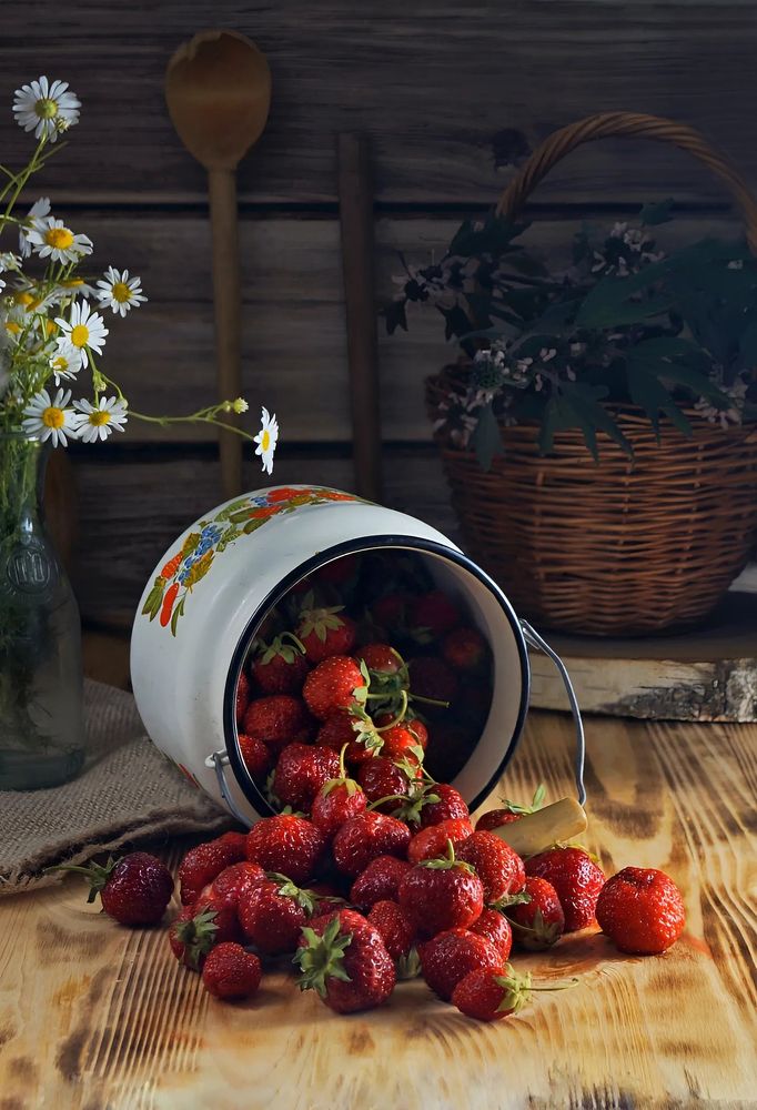 Photograph by Светлана Гришакова