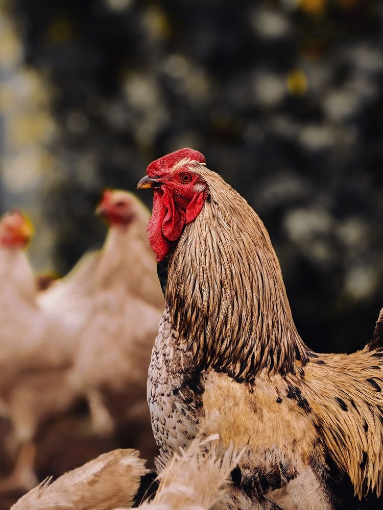 Photograph by Yuliya Karpova