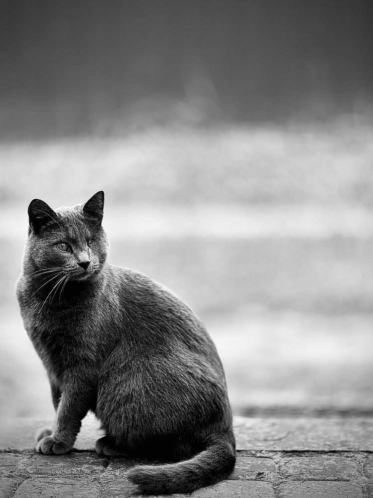 Photograph by Sergey Lelekov