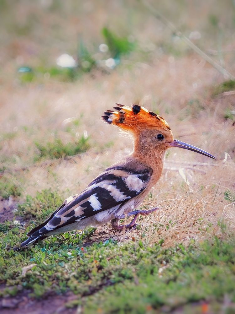 Photograph by Yuliya Karpova