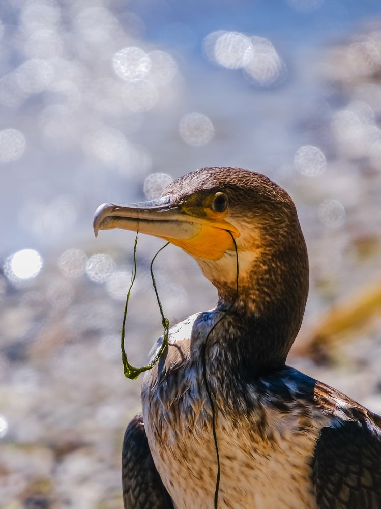 Photograph by Yuliya Karpova