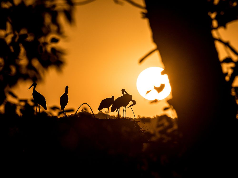 Photograph by Pavel Koliadin