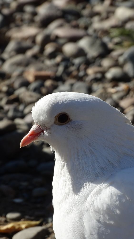 Photograph by Данил Фадеев