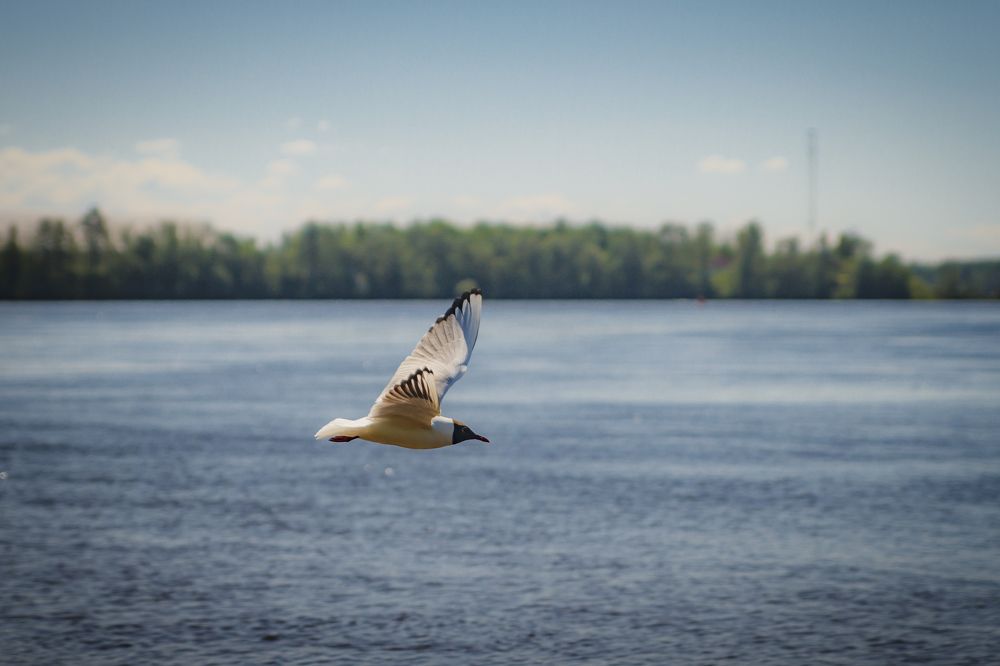 Photograph by Pavel Gukov