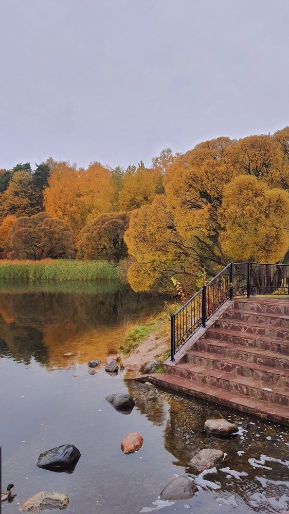 Photograph by Виктория Образцова