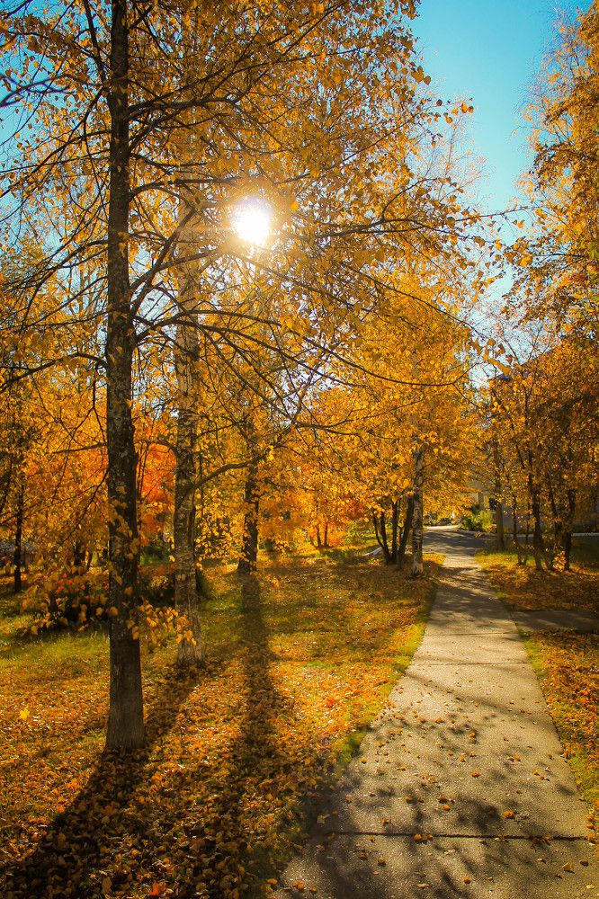 Photograph by Любовь Иванова