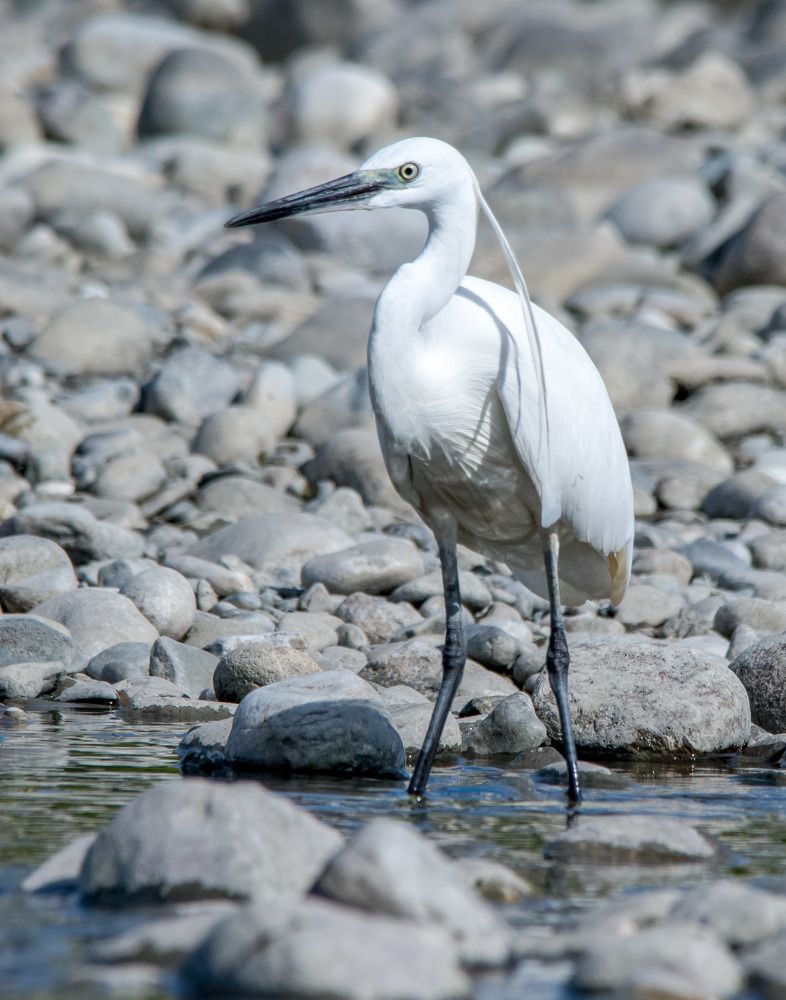 Photograph by Роман Кудрявцев