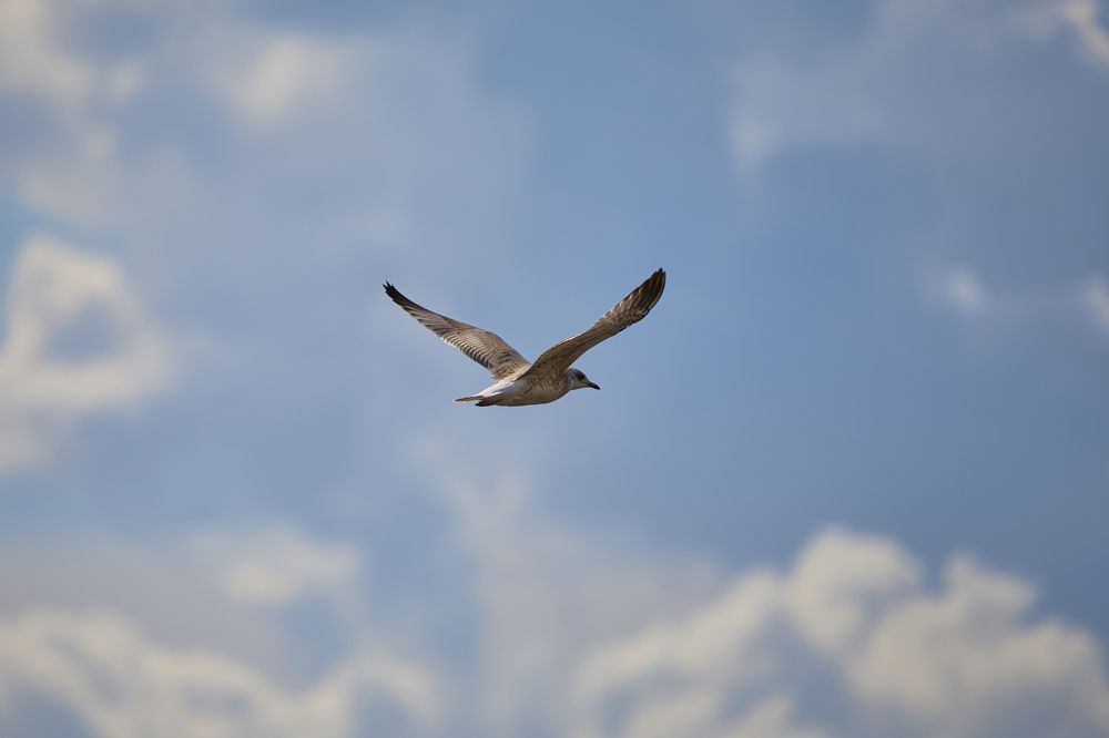 Photograph by Виктория Ахмылова