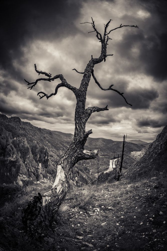 Photograph by Kostantin Belonogov