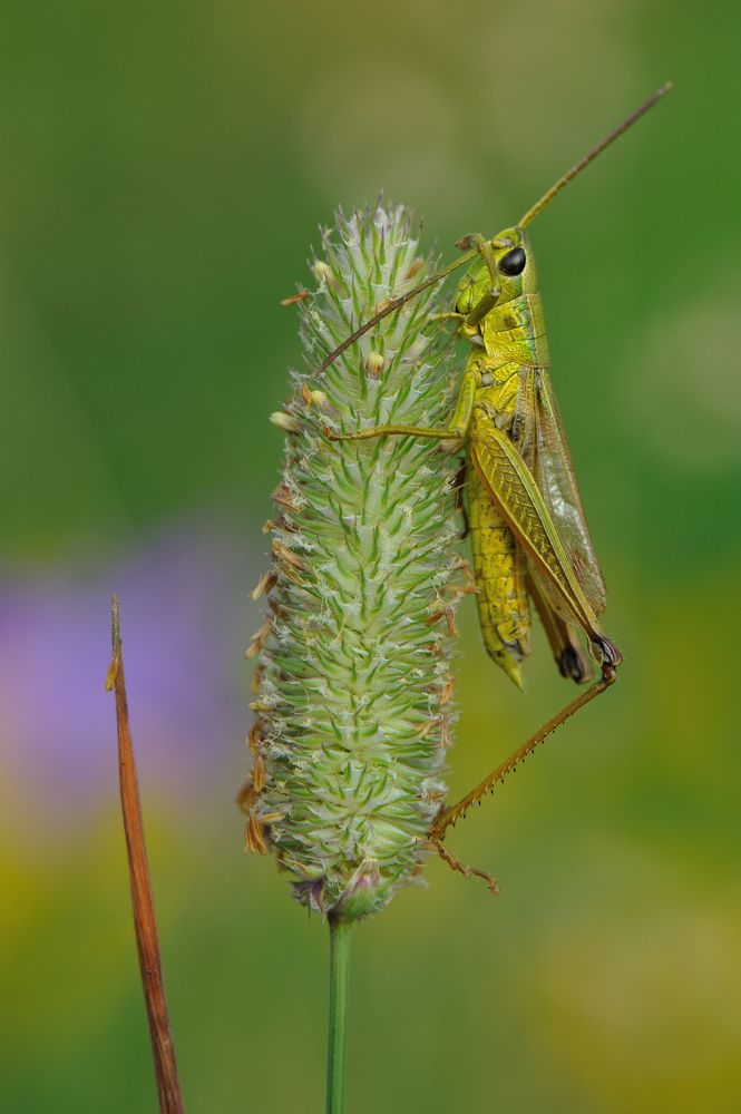 Фотография автора Чистяков Андрей