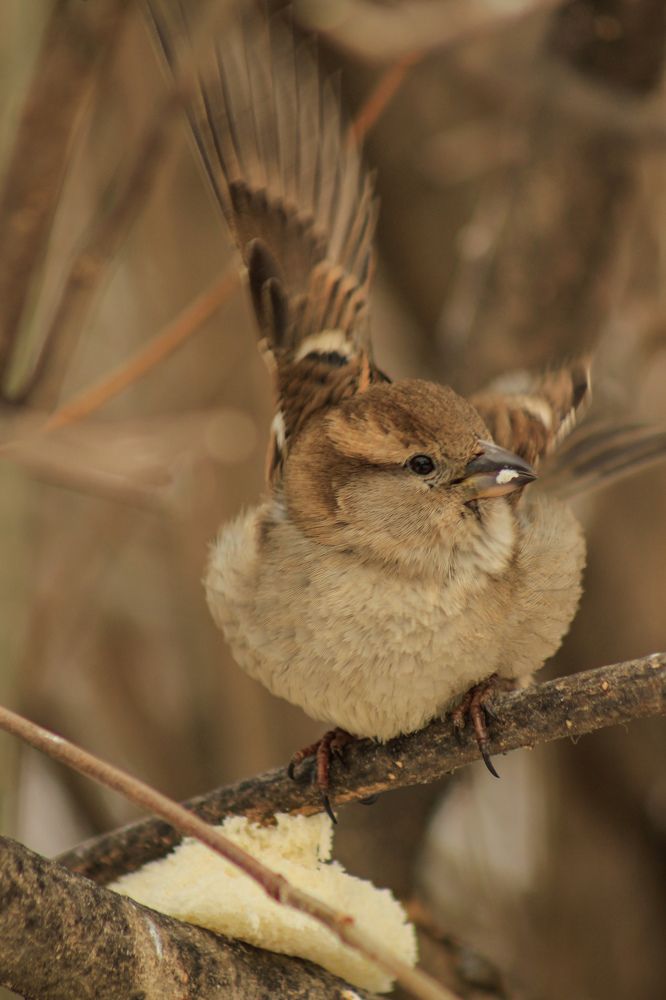 Photograph by Юркин Егор