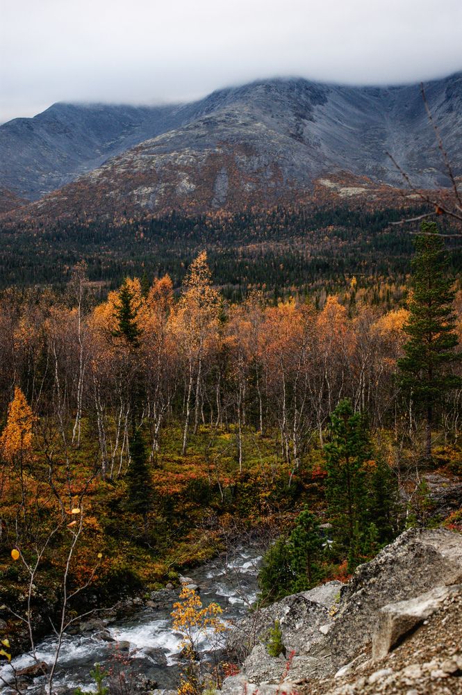 Photograph by Карина Заводчикова