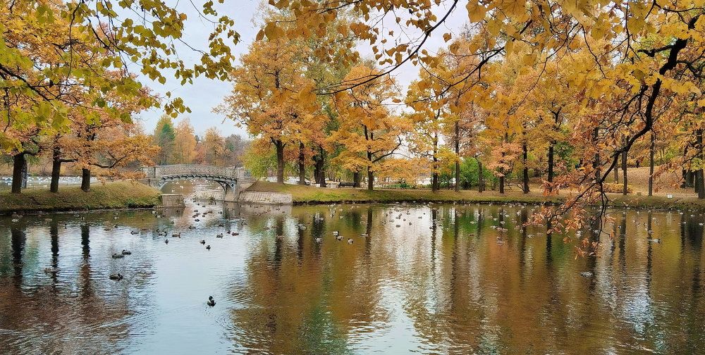 Photograph by Светлана Дисяк