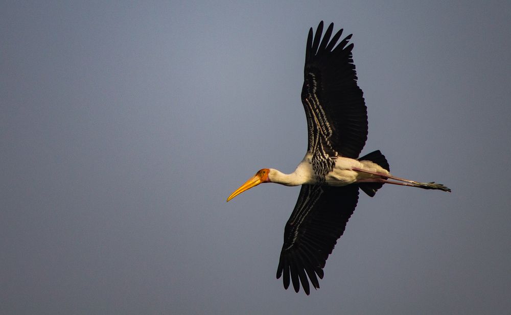 Photograph by Samrat Nag