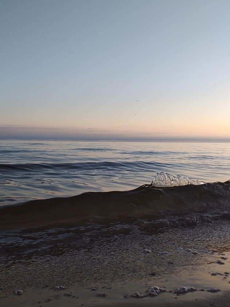 Photo #11109948