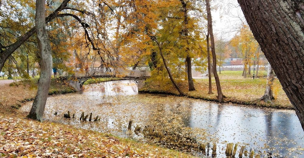 Photograph by Светлана Дисяк