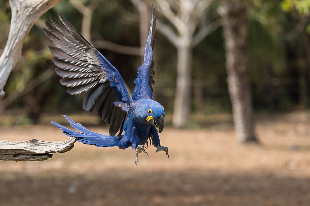 Photograph by Марина Маликова