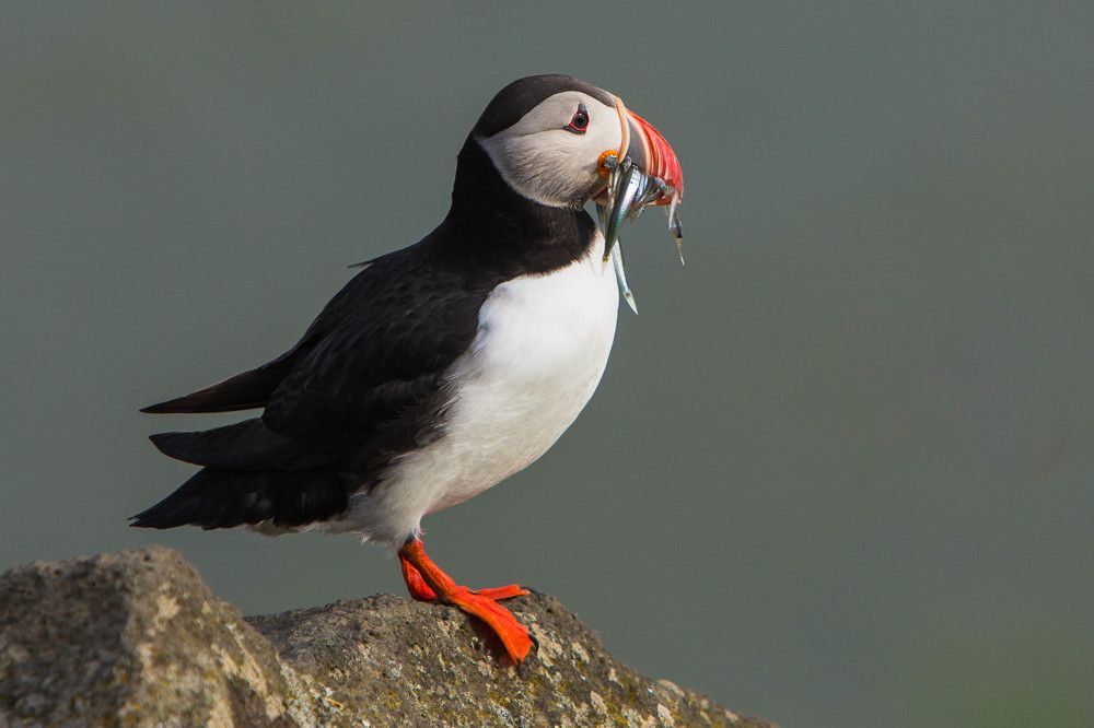 Photograph by Марина Маликова