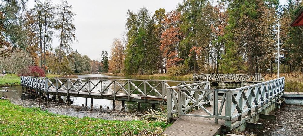 Photograph by Светлана Дисяк