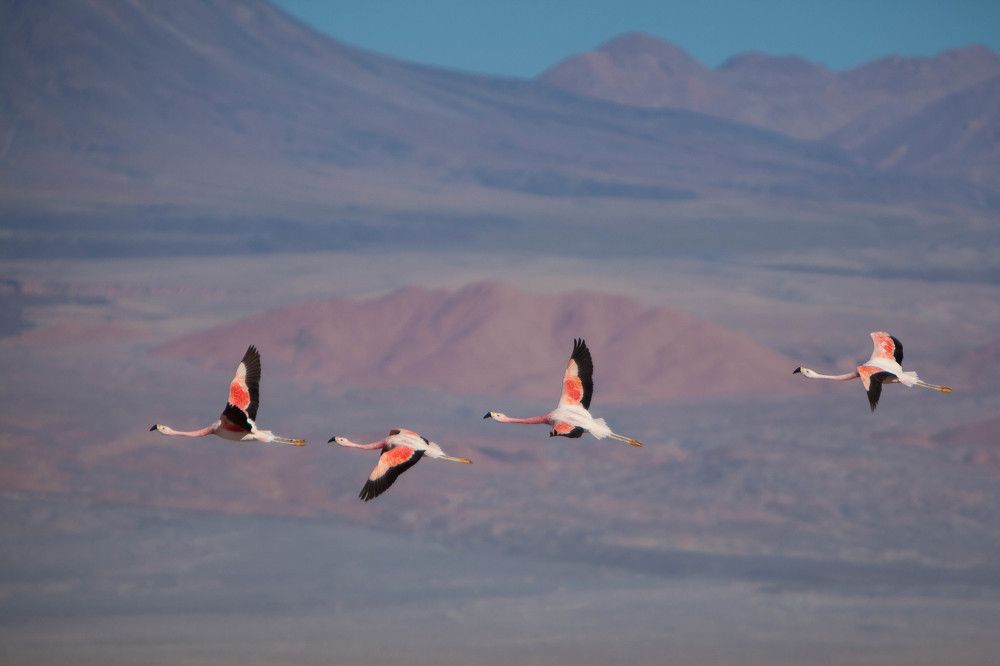 Photograph by Марина Маликова