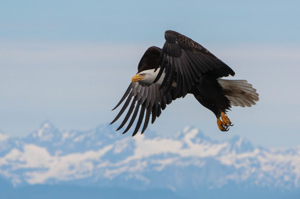 Photograph by Марина Маликова