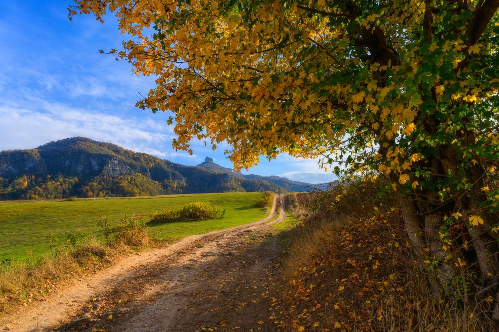 Фотография автора Асрян Севак