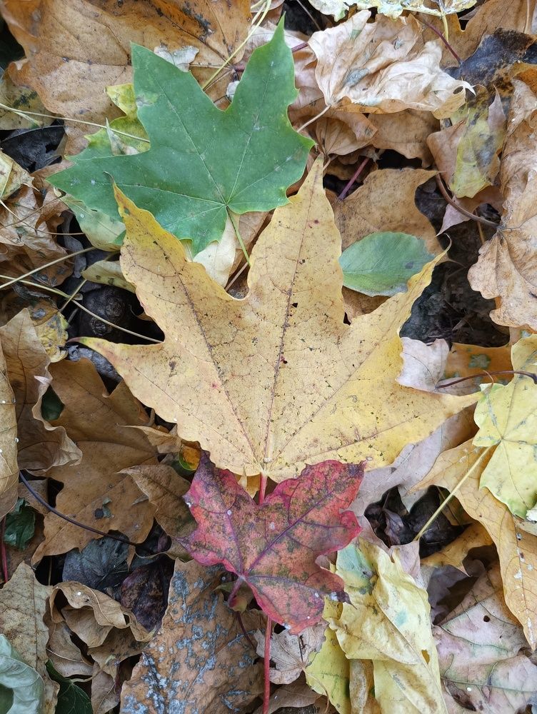 Photograph by Елена Александрова