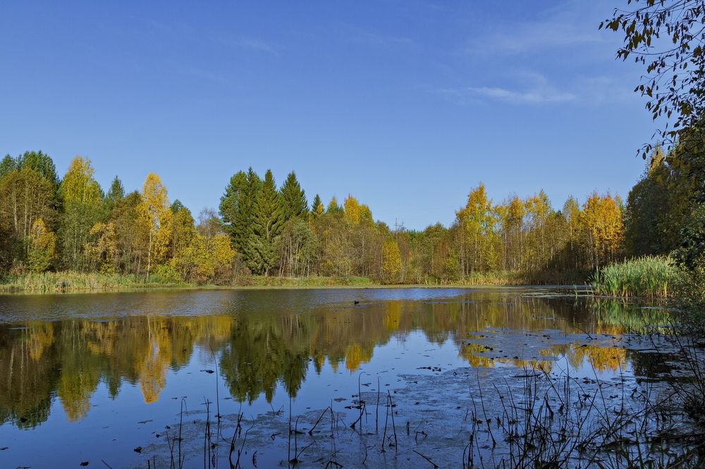 Photograph by Лена Кор