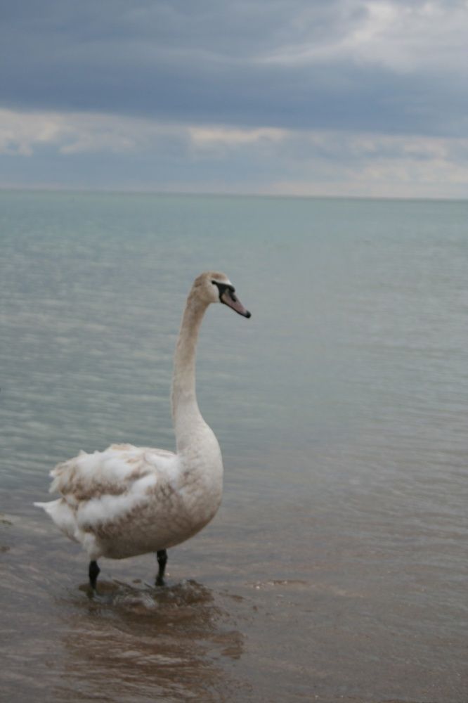 Photograph by Злата Иванченко