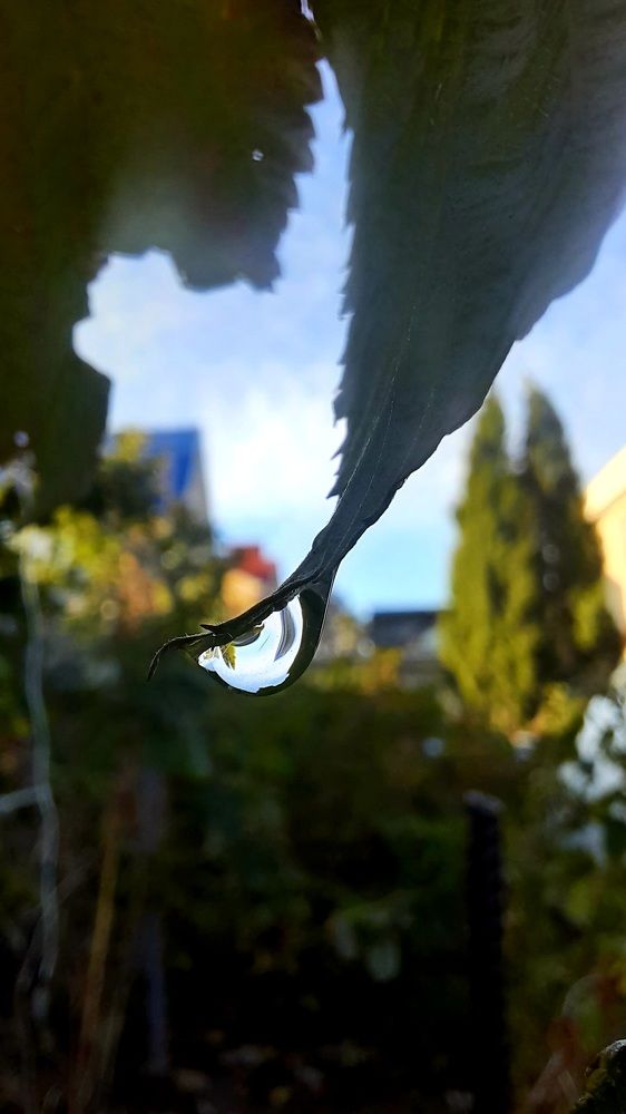 Photograph by Евгения Соловьева