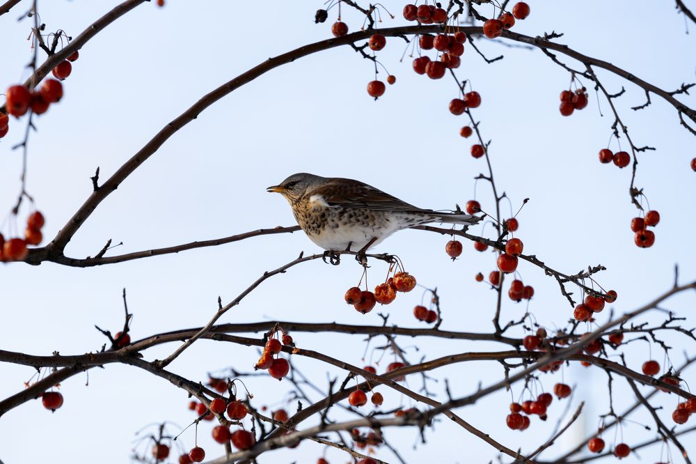 Photograph by Денис Есаков